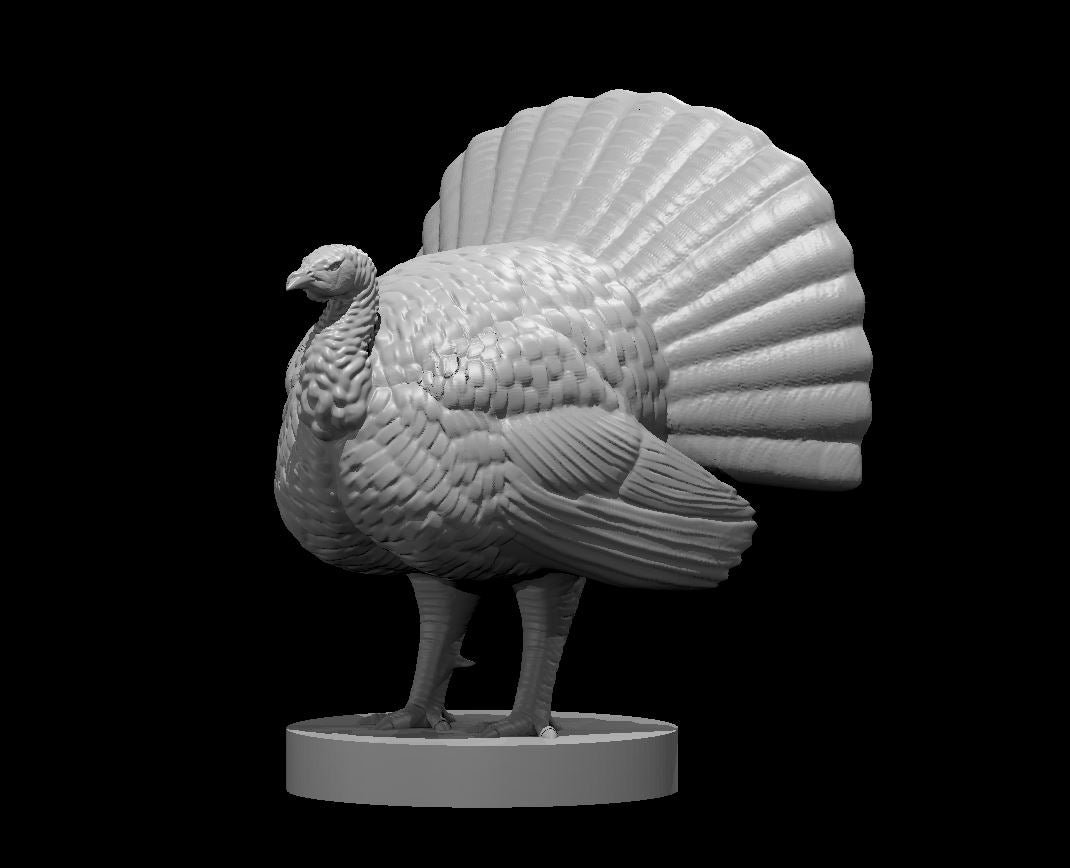 Dungeons & Dragons Turkey Miniature