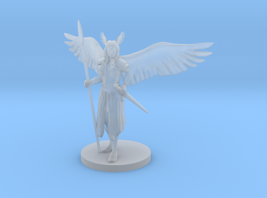 Dungeons & Dragons Valkyrie Miniature