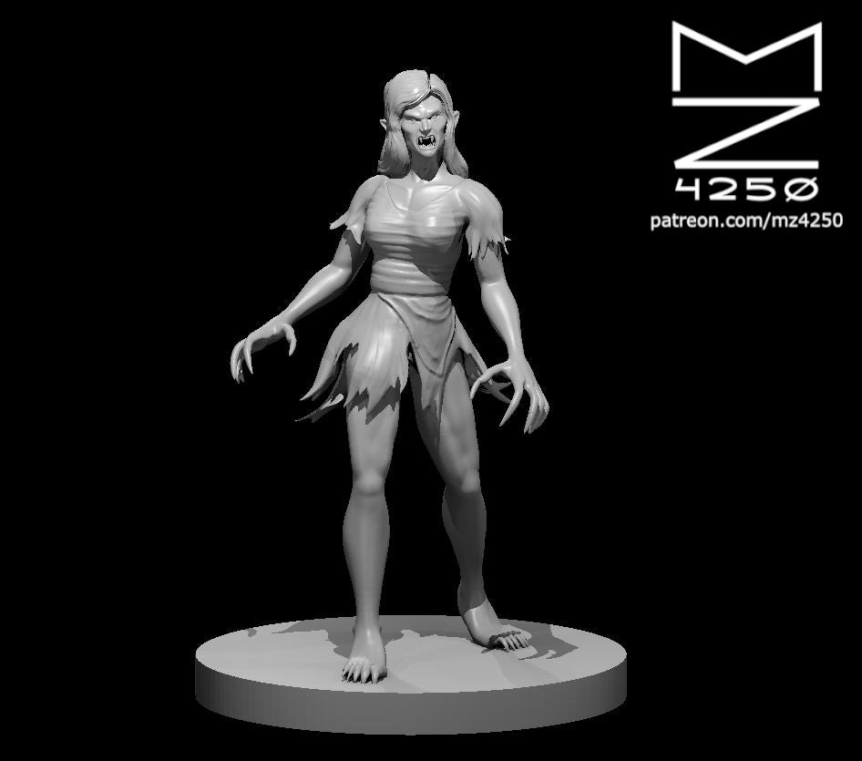 Dungeons & Dragons Vampire Miniature