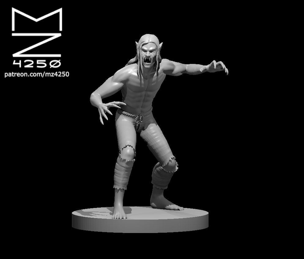 Dungeons & Dragons Vampire Miniature