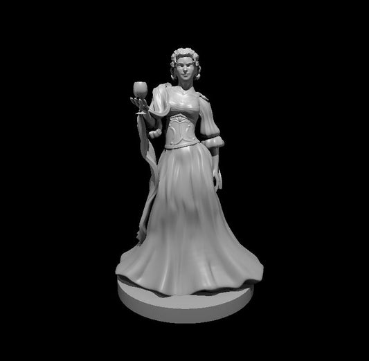 Dungeons & Dragons Vampire Miniature