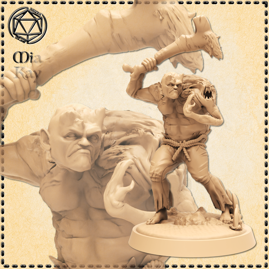 Dungeons & Dragons Mutated Cursed Human Miniature