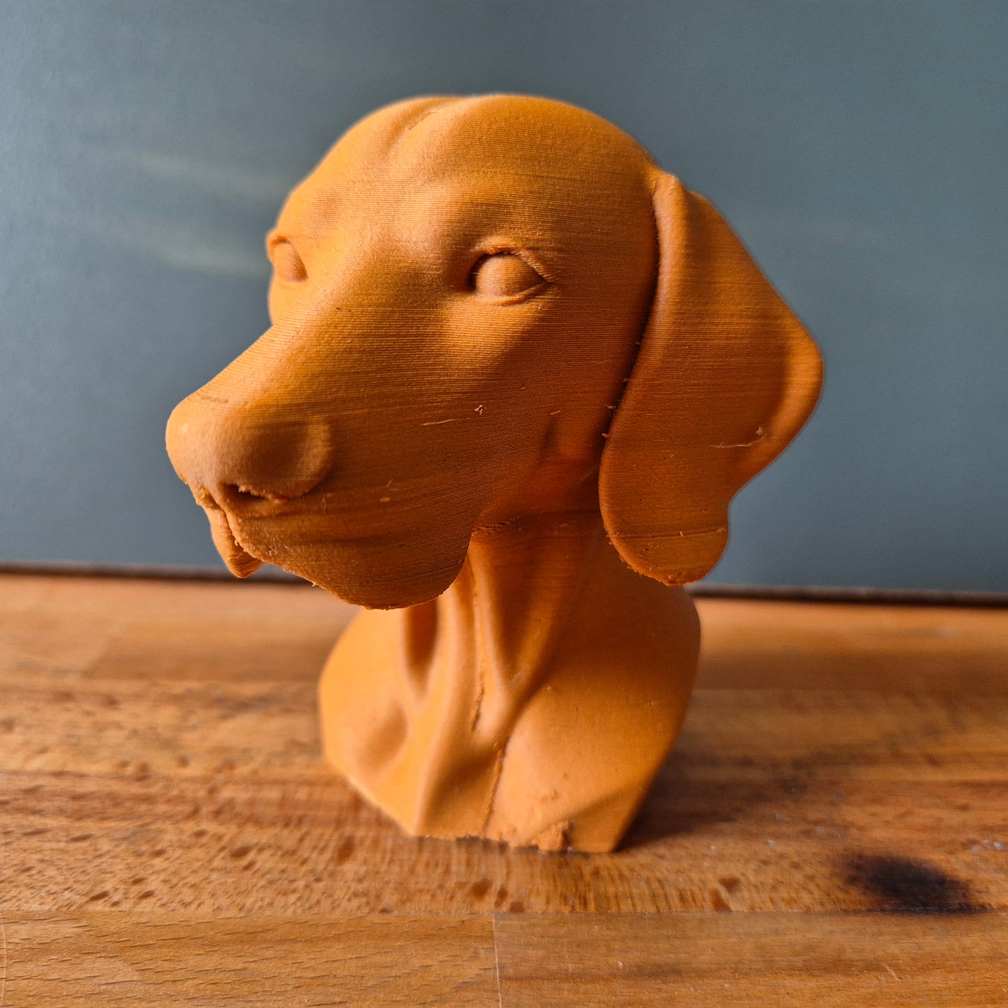 Vizsla Dog Bust