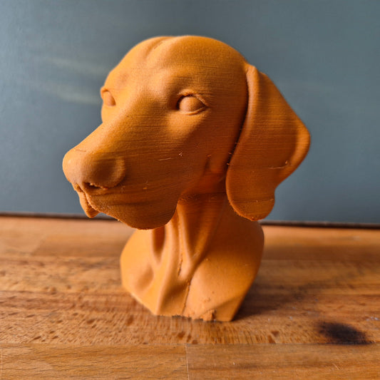 Vizsla Dog Bust