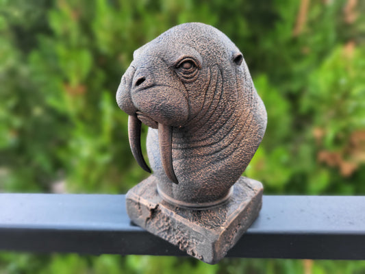 Walrus Bust