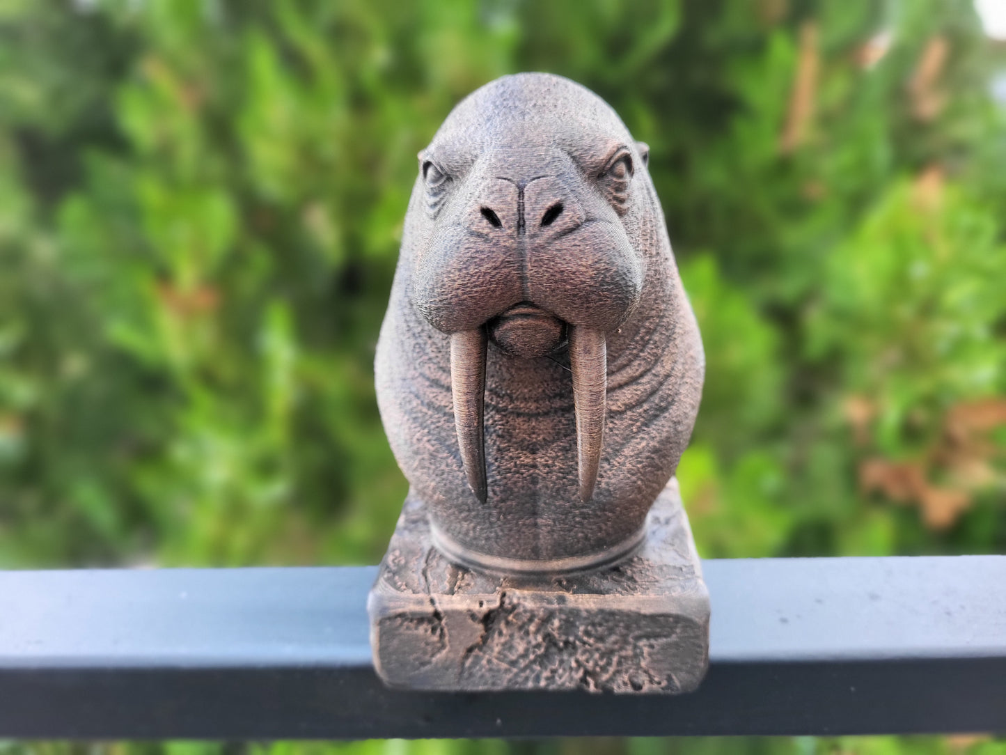 Walrus Bust