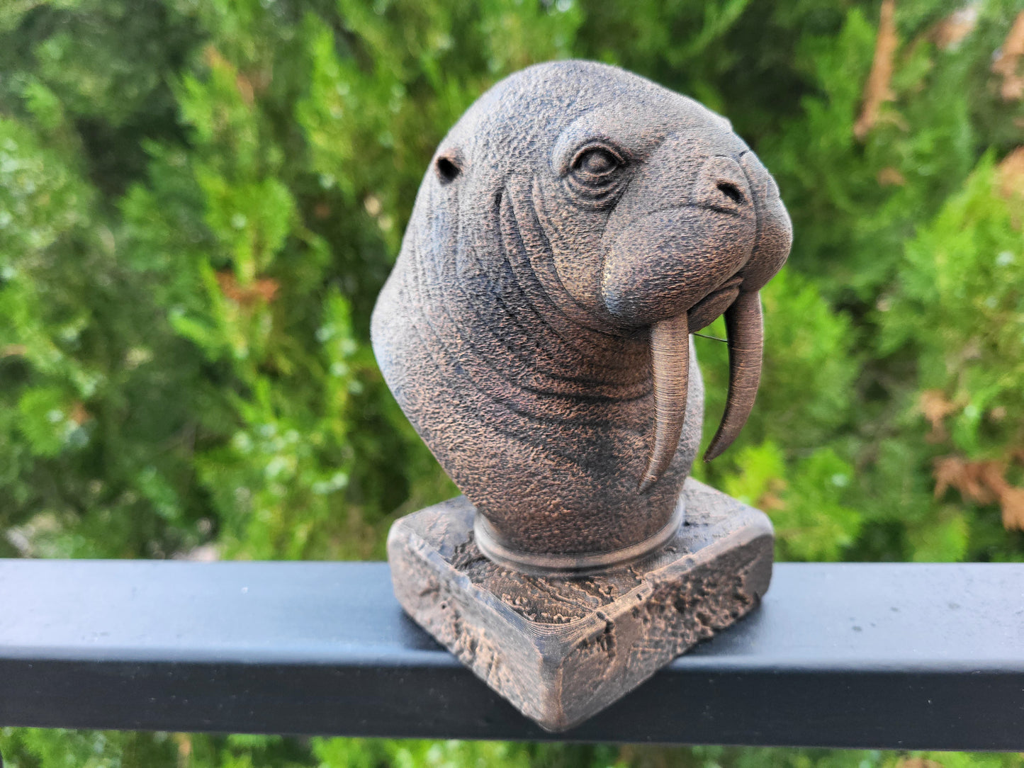 Walrus Bust