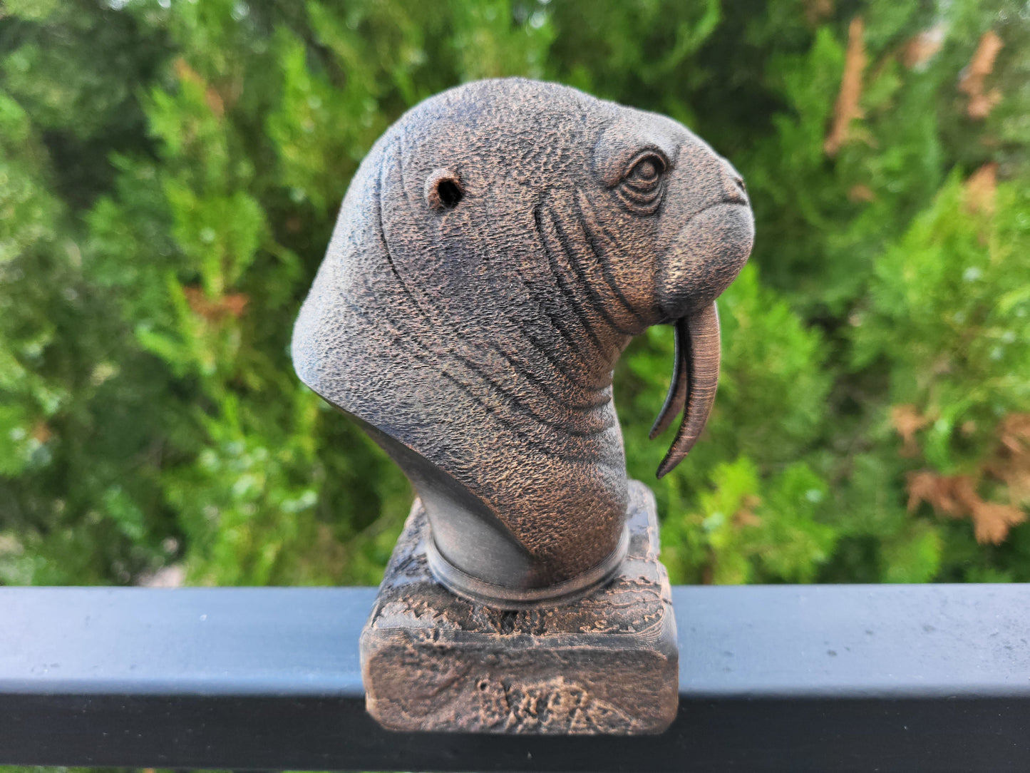 Walrus Bust