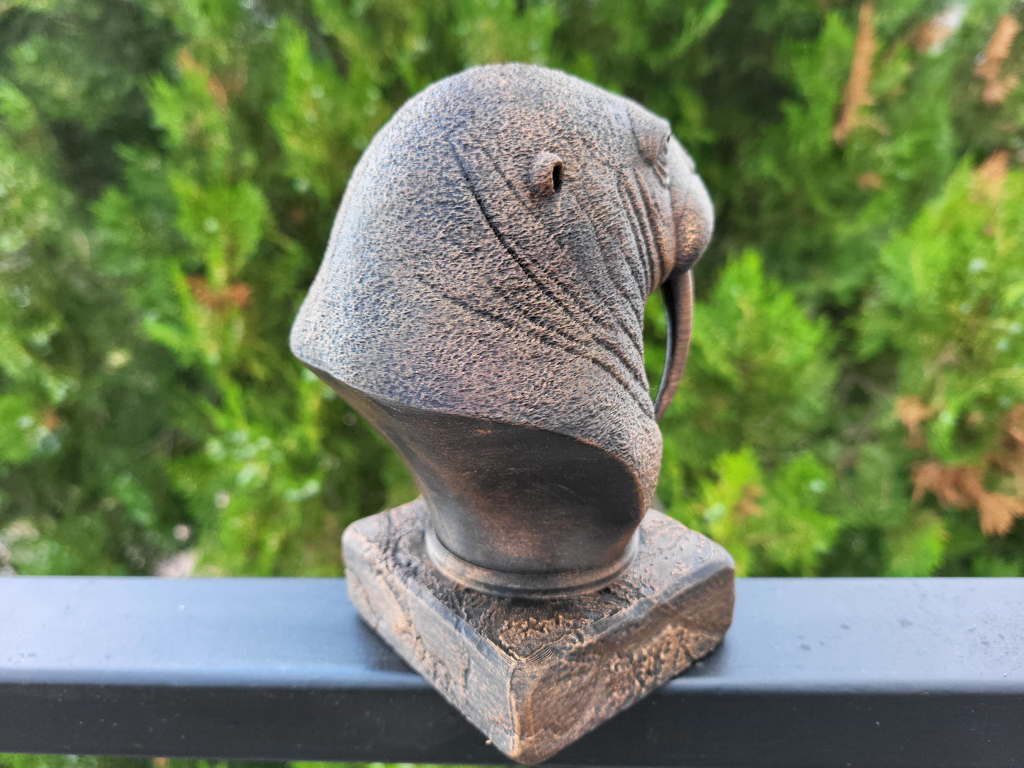 Walrus Bust