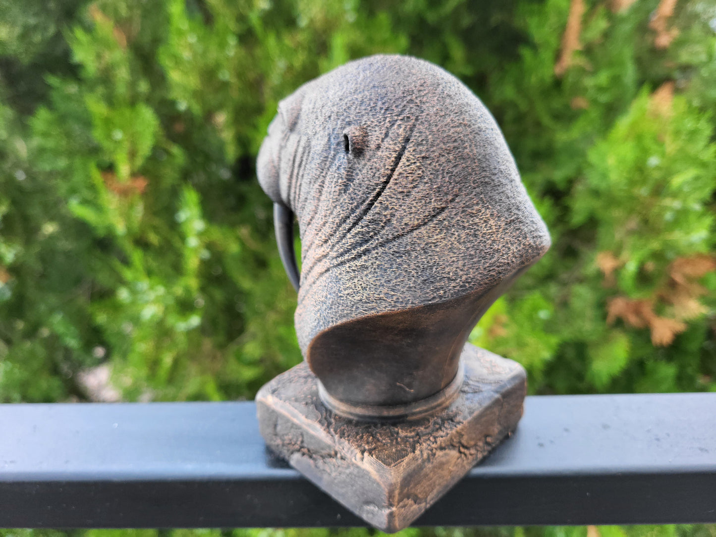Walrus Bust