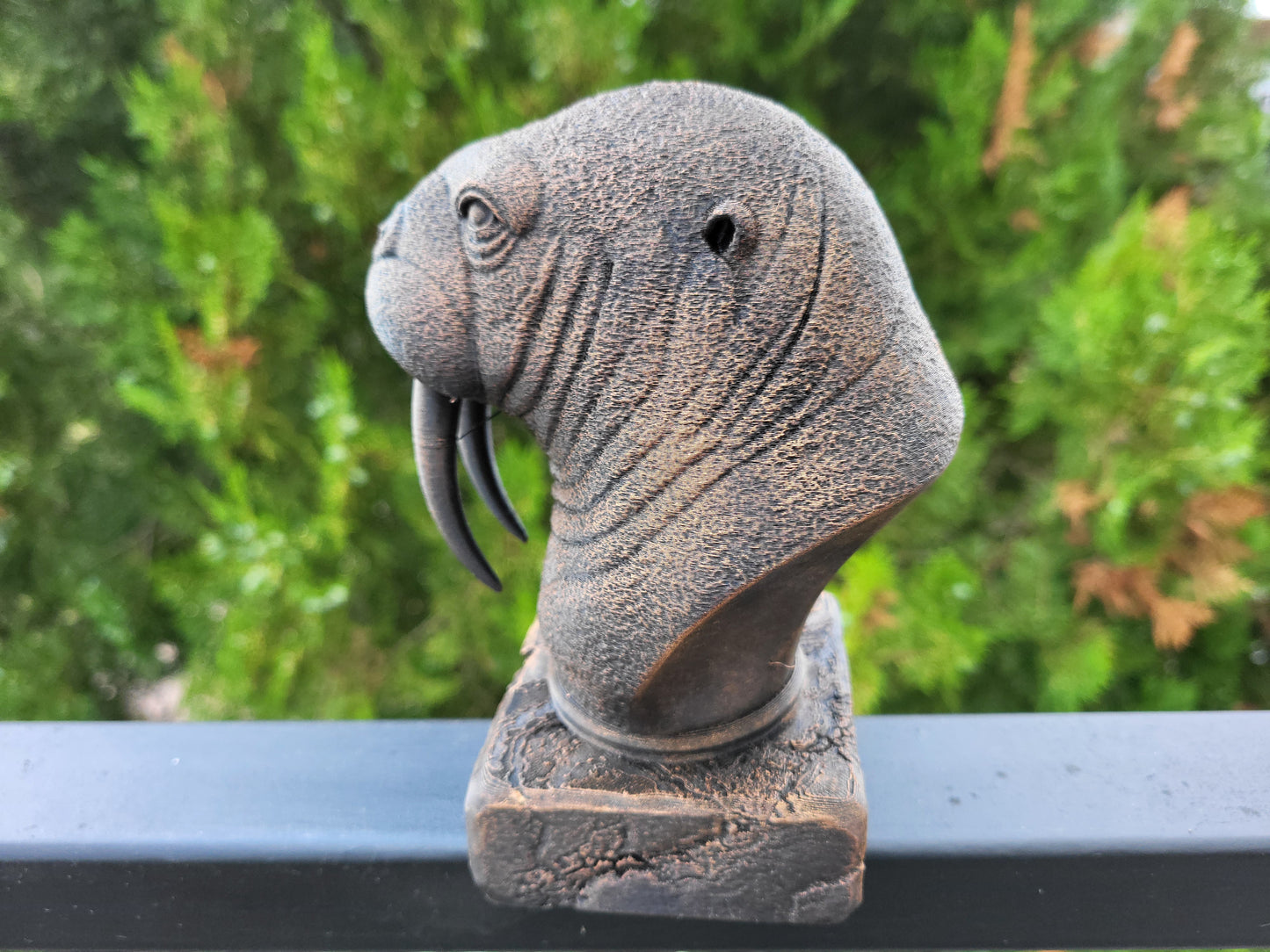Walrus Bust