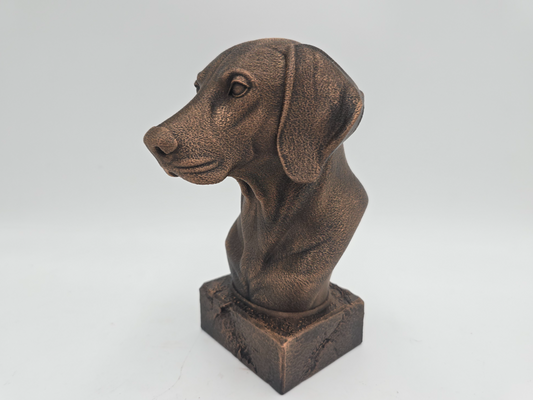Weimaraner Bust
