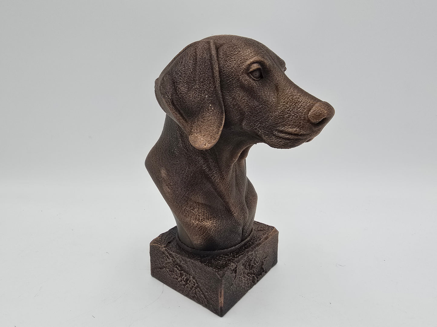Weimaraner Bust