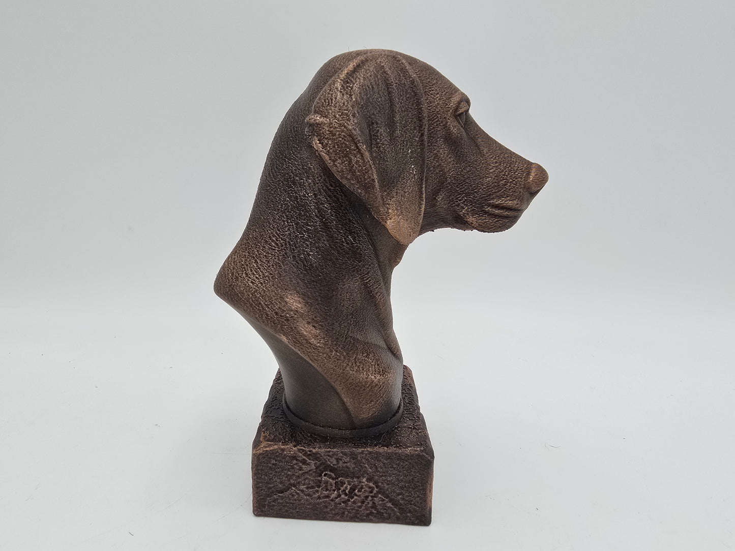 Weimaraner Bust