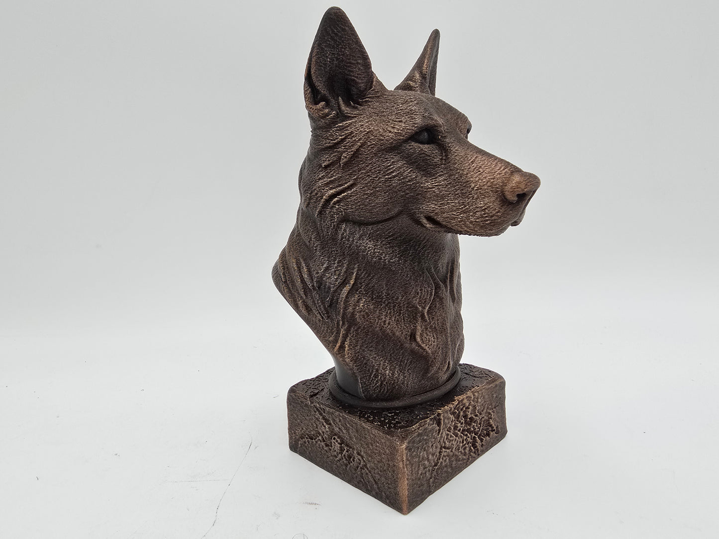 White Swiss Shepherd Bust