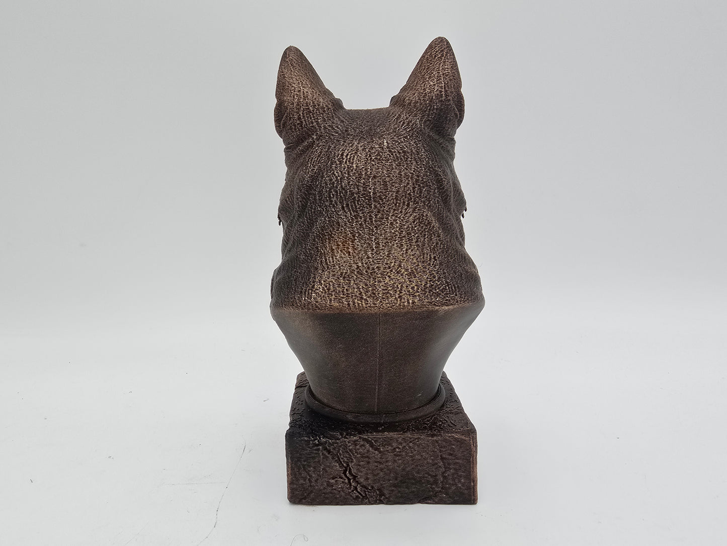 White Swiss Shepherd Bust