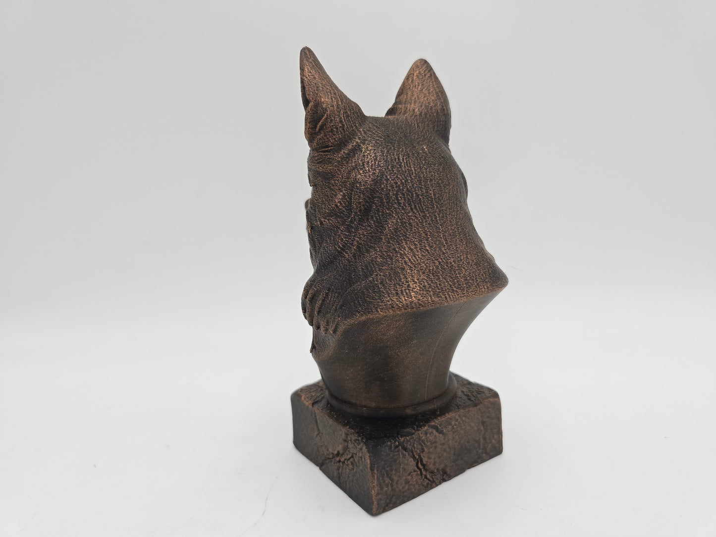 White Swiss Shepherd Bust