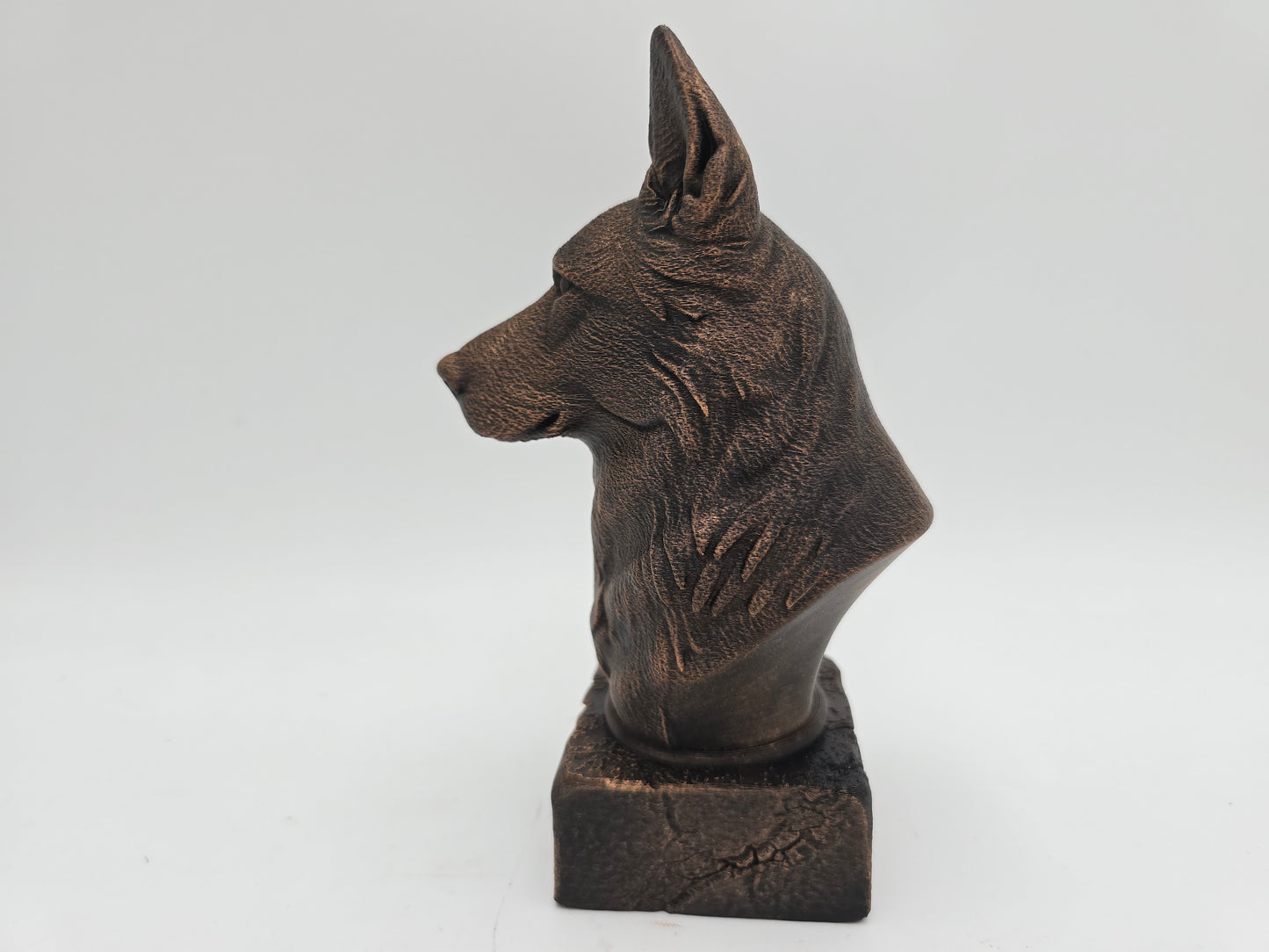 White Swiss Shepherd Bust
