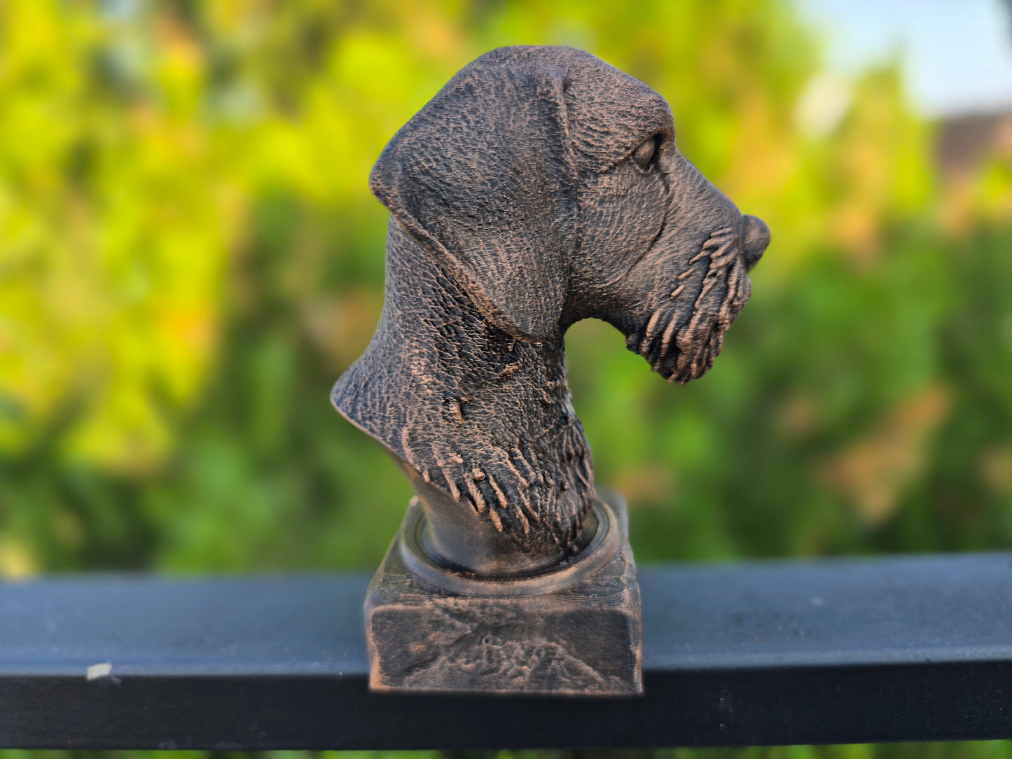 Wire Haired Dachshund Bust
