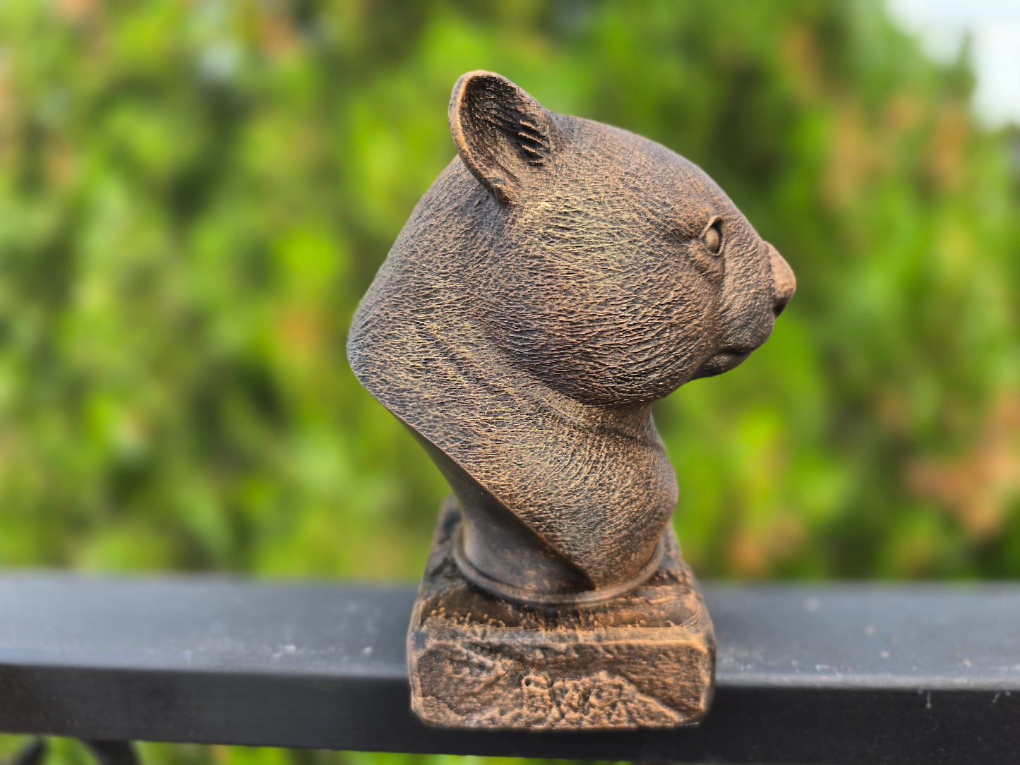 Wombat Bust