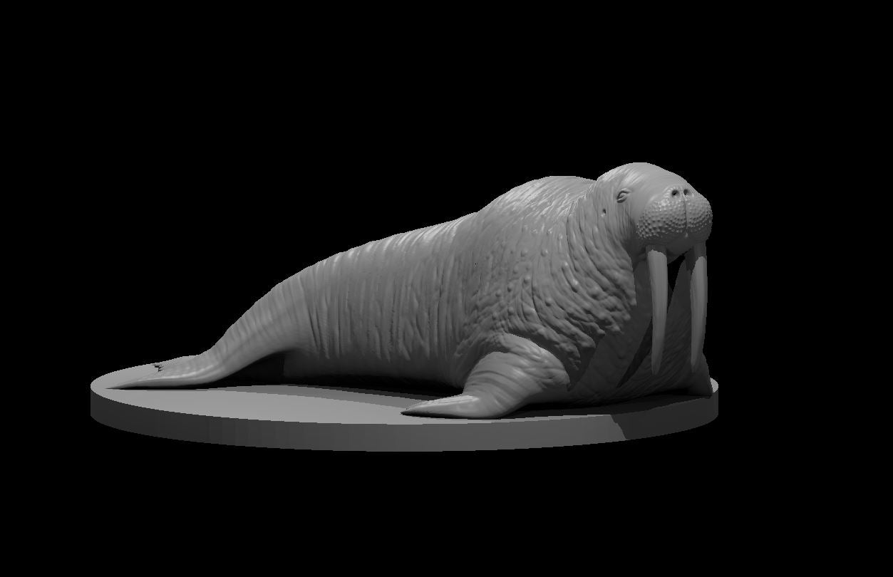 Dungeons & Dragons Walrus Miniature
