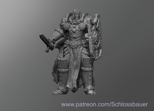 Dungeons & Dragons Warforged Paladin Miniature