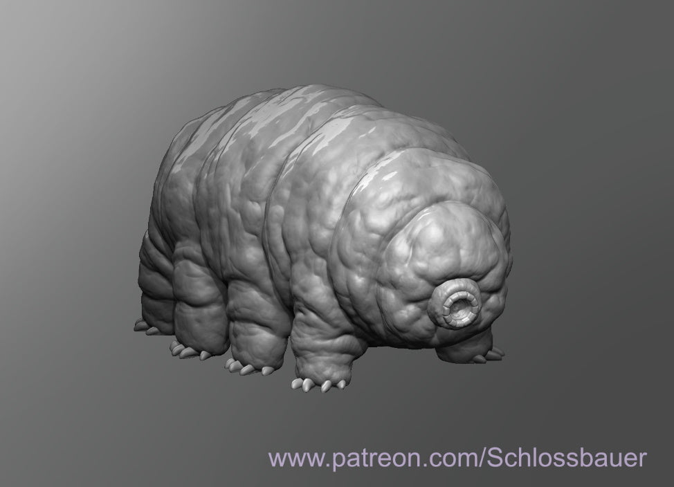 Dungeons & Dragons Water Bear Miniature