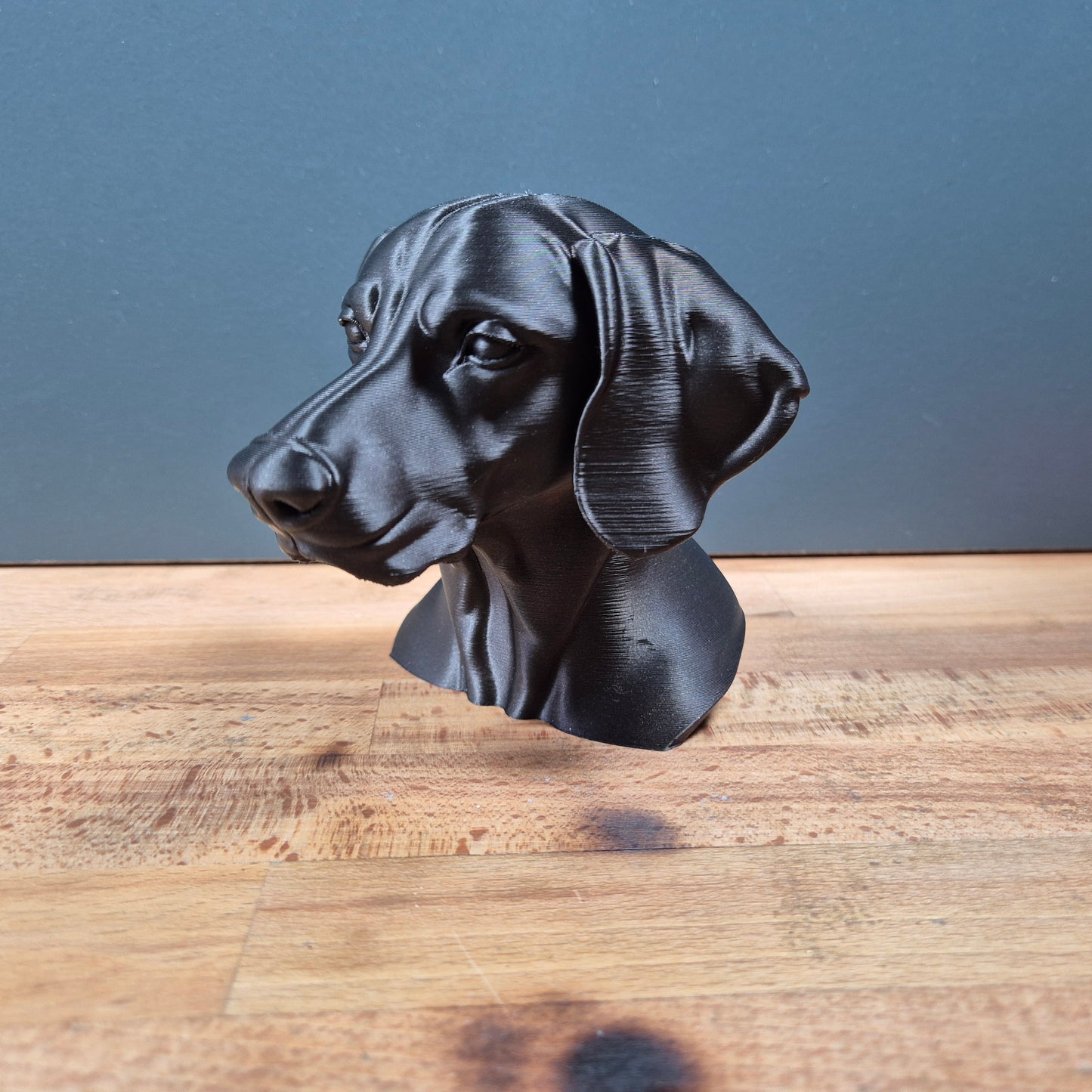 Weimaraner Bust