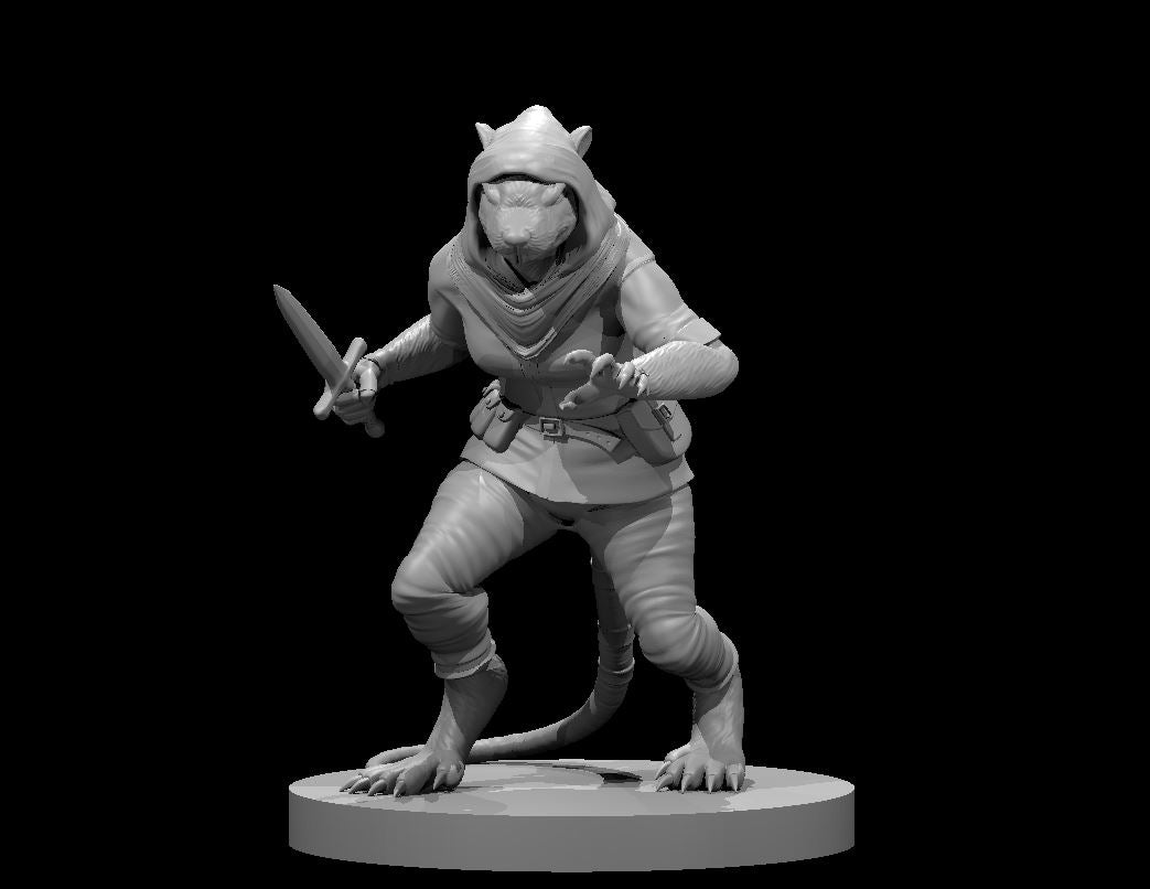 Dungeons & Dragons Wererat Female Miniature