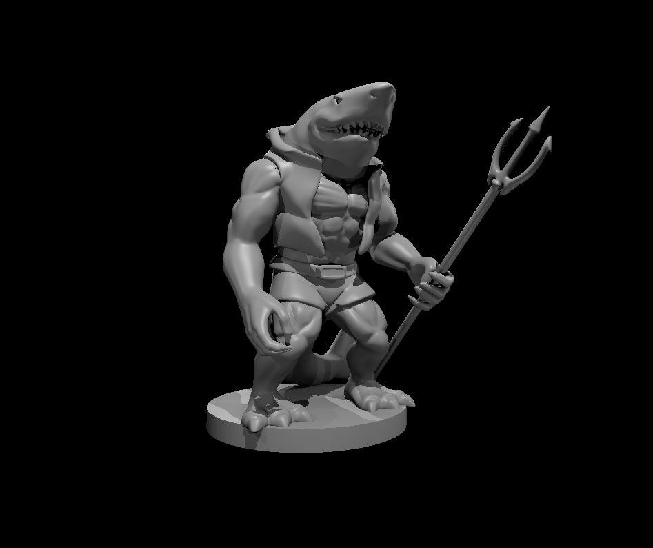 Dungeons & Dragons Wereshark Miniature