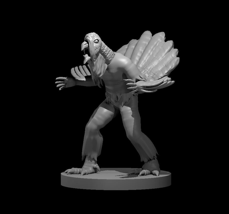 Dungeons & Dragons Wereturkey Miniature