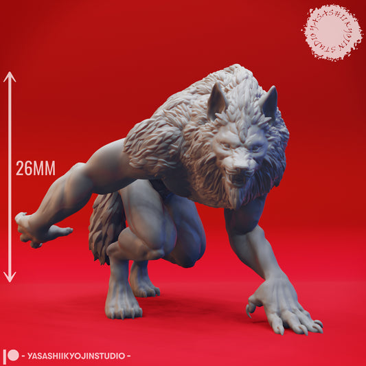 Dungeons & Dragons Werewolf Miniature