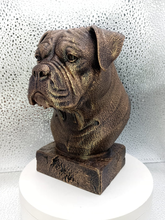 American Bulldog Bust