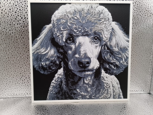 Poodle – Hueforge