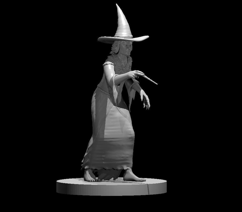 Dungeons & Dragons Witch Miniature