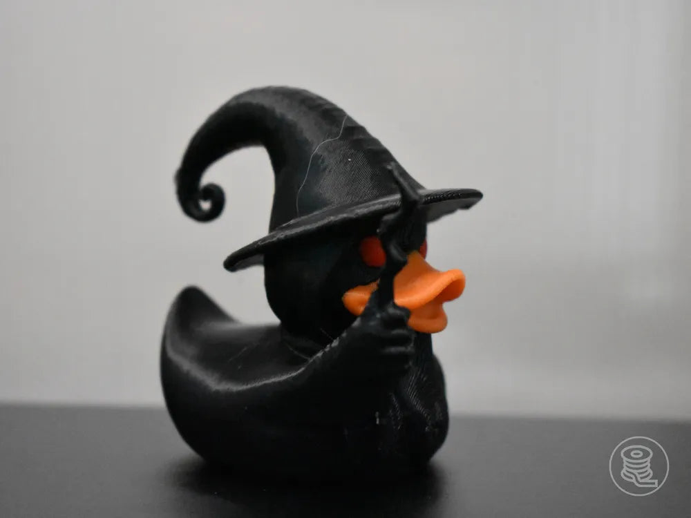 Wizard Duck