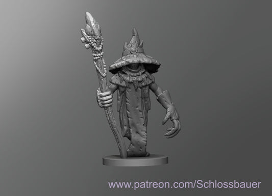 Dungeons & Dragons Wizzrobe Miniature