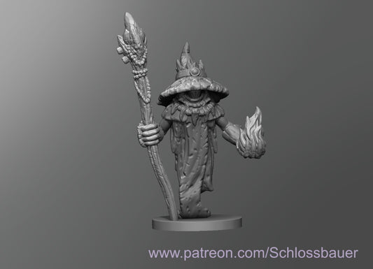 Dungeons & Dragons Wizzrobe Miniature