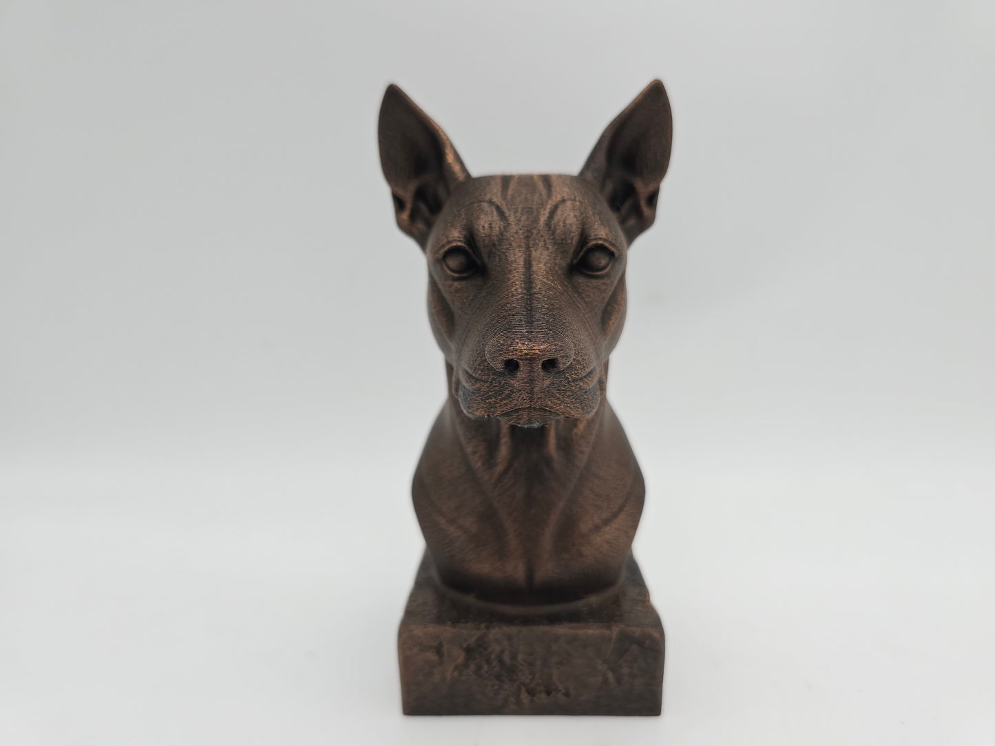 Xolo Bust