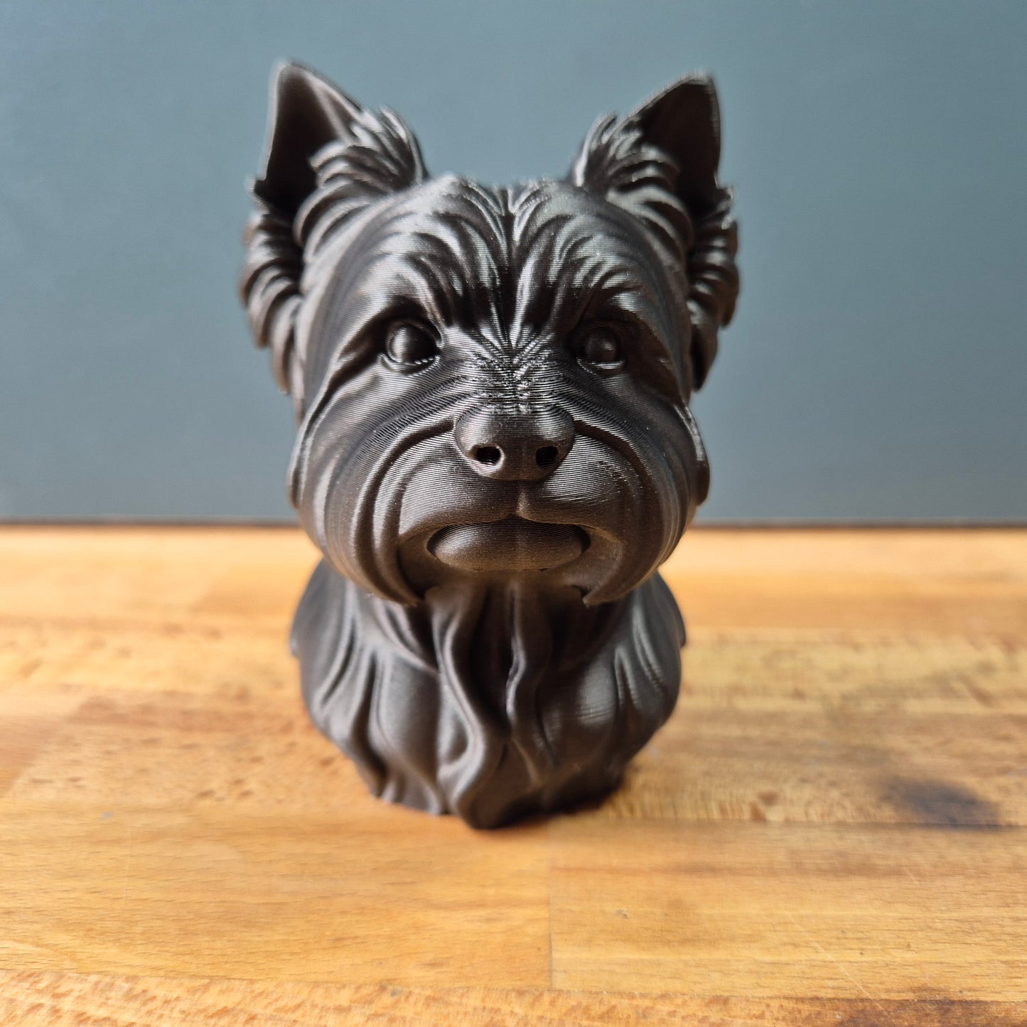 Yorkshire Terrier Bust