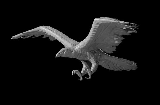 Dungeons & Dragons Zombie Raven Miniature