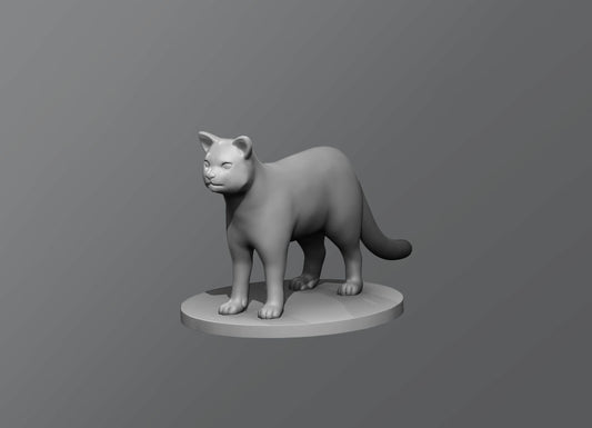 Dungeons & Dragons Cat Miniature