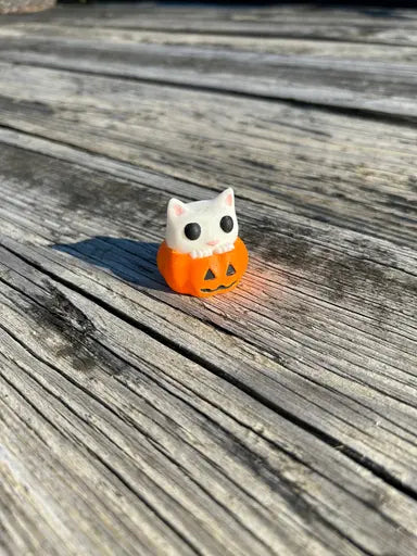 Cat in a Pumpkin