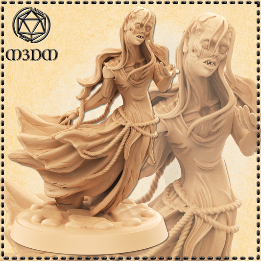 Dungeons & Dragons Necrotic Ghost Miniature