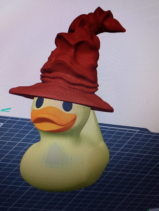 Wizard Sorting Duck