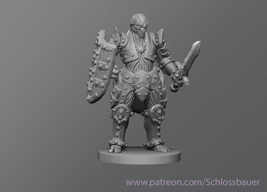 Dungeons & Dragons Warforged Miniature